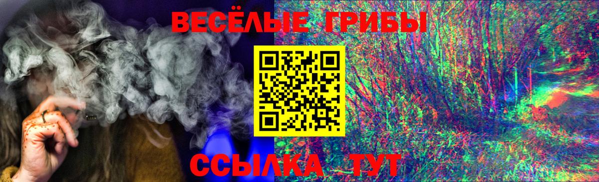 цена наркотик  Вход с VPN  Елизово  Псилоцибиновые грибы ЛСД 